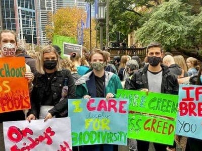 LV on Climate strike